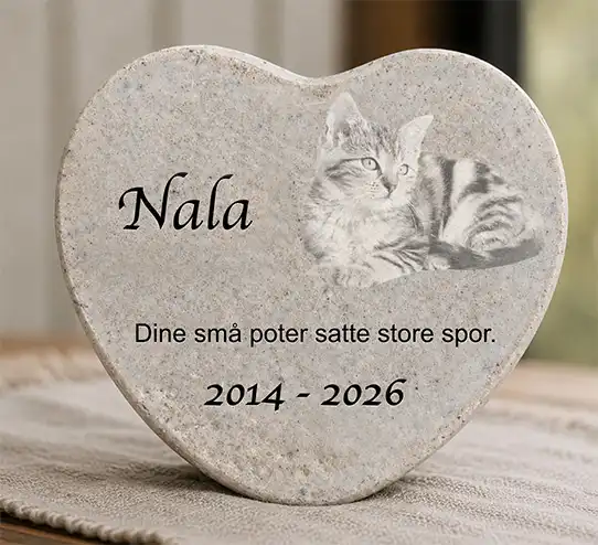 Mindesten til kat med foto og navn