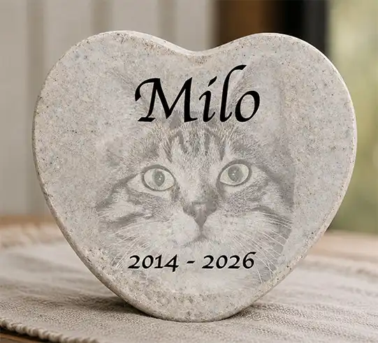 Milo mindesten til kat