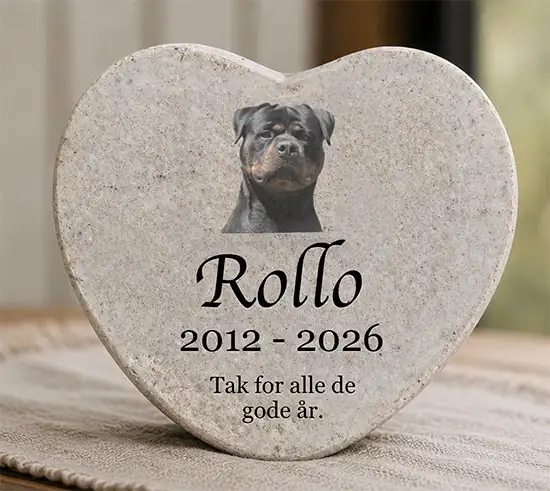 Rollo mindesten